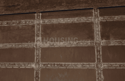 Project Images