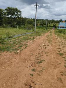 Project Image of 1200.0 - 2400.0 Sq.ft Residential Plot Plot for buy in BGS Enclave
