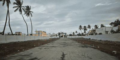 Project Images