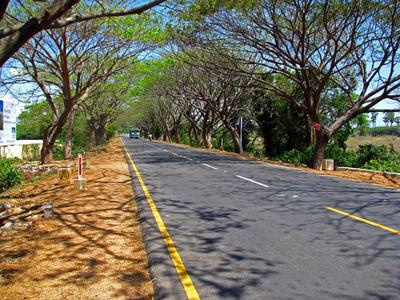 Project Image of 750.0 - 3770.0 Sq.ft Residential Plot Plot for buy in BLB Sree Jeeva Nagar
