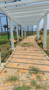 Project Image of 800.0 - 1000.0 Sq.ft Residential Plot Plot for buy in MM City
