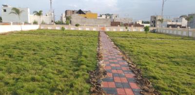 Project Image of 600.0 - 1200.0 Sq.ft Residential Plot Plot for buy in Shree Reva Dreamzz