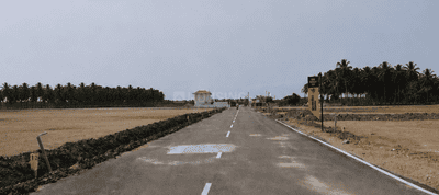 Project Images