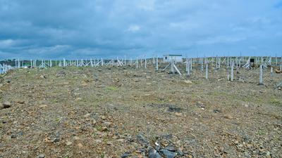 Project Image of 1000.0 - 5000.0 Sq.ft Residential Plot Plot for buy in Swapnyog Dream City