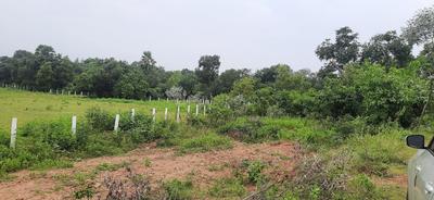 Project Image of 1350.0 - 1500.0 Sq.ft Residential Plot Plot for buy in Subhodaya Pearl City