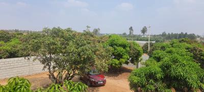 Project Image of 5178.0 - 11433.0 Sq.ft Residential Plot Plot for buy in PK Mango Nest Farmlands