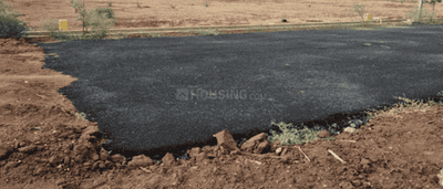 Project Images