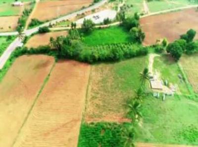Project Image of 1200.0 - 2000.0 Sq.ft Residential Plot Plot for buy in Paratus Ashirvad Layout