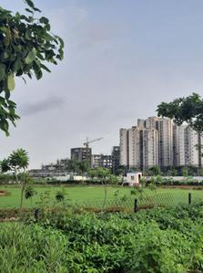 Wave City Sector 6 Phase 2 Residential Plots Elevation 1