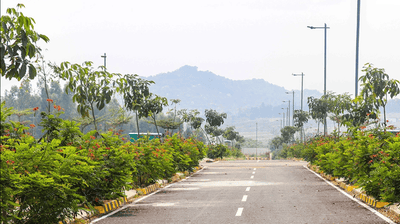 Project Image of 1200.0 - 2400.0 Sq.ft Residential Plot Plot for buy in Sattva Pipal Tree