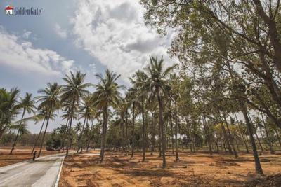 Project Image of 1400.0 - 2693.0 Sq.ft Residential Plot Plot for buy in Golden Ira Plots