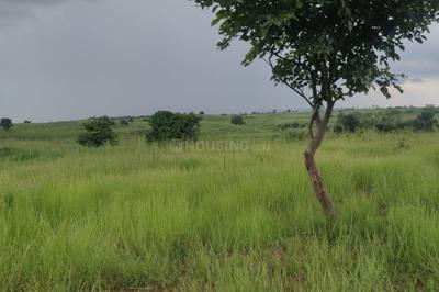 Project Image of 5445.0 - 10890.0 Sq.ft Residential Plot Plot for buy in iMark Harmony