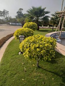 Project Image of 1240.0 - 2100.0 Sq.ft 2 BHK Villa for buy in Wing Lucknow Greens Villa