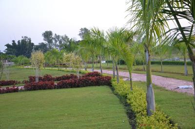 Project Image of 1800 Sq.ft Residential Plot / Land for sale in Manglia for Rs. 13500000