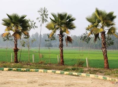Project Image of 7500.0 - 10000.0 Sq.ft Residential Plot Plot for buy in Swaraj The Villagio