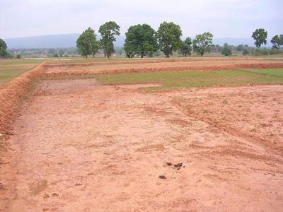Project Image of 1080.0 - 4671.0 Sq.ft Residential Plot Plot for buy in Pooja Willow Park