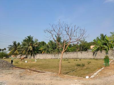 Project Image of 800.0 - 1500.0 Sq.ft Residential Plot Plot for buy in TTM Enterprises