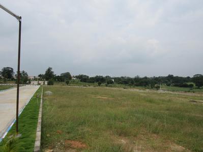 Project Image of 1200.0 - 2000.0 Sq.ft Residential Plot Plot for buy in Sky Maple Town