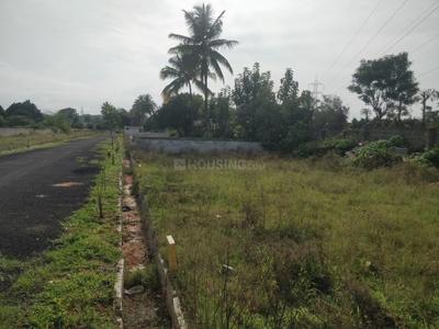 Project Image of 1200.0 - 2000.0 Sq.ft Residential Plot Plot for buy in Prutvi Sri Sai Royal Meadows