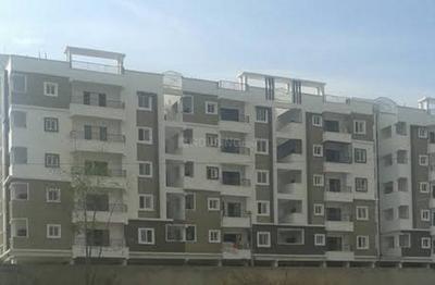 Green Iconia Images for Project 1