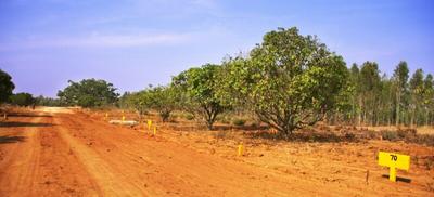 Project Image of 1140.0 - 1760.0 Sq.ft Residential Plot Plot for buy in Akshaya Vintage Venezia