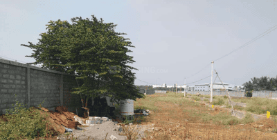 Project Images
