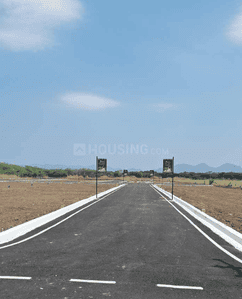 Evergreen Plot 1