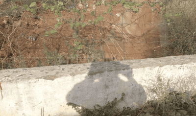 Project Images