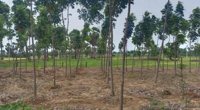 Project Image of 1503.0 - 4500.0 Sq.ft Residential Plot Plot for buy in Lotus Heaven