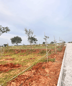 Project Image of 1358.3 - 7543.99 Sq.ft Residential Plot Plot for buy in Tula Rhythm Of Earth