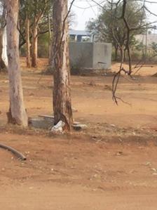 Project Image of 540.0 - 5976.0 Sq.ft Residential Plot Plot for buy in Sark Green Plains