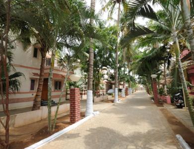 Parsn Palm Legend Elevation 1