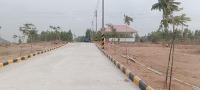 Gallery Cover Pic of Indo Orr East Organica
