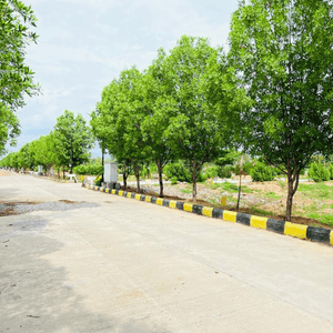 Project Image of 1503.0 - 4032.0 Sq.ft Residential Plot Plot for buy in Sukrithi Sannidhi Ankura