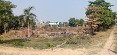 Project Image of 450.0 - 1800.0 Sq.ft Residential Plot Plot for buy in Del NCR Surya Chaman Enclave Plots
