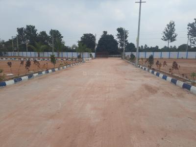 Project Image of 1200.0 - 1500.0 Sq.ft Residential Plot Plot for buy in Leo Pride Nature Ville