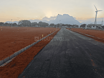 Project Images