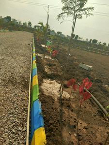 Project Image of 1350.0 - 2997.0 Sq.ft Residential Plot Plot for buy in Sanjeevani Golden City