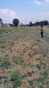 Project Image of 1000.0 - 1200.0 Sq.ft Residential Plot Plot for buy in Indus Enclave