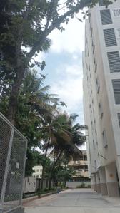 Project Image of 1205.0 - 1640.0 Sq.ft 2 BHK Apartment for buy in Emmanuel Ashley Park