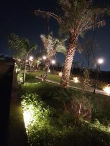 Project Image of 1000 Sq.ft Residential Plot / Land for sale in Anora Kala for Rs. 3399000