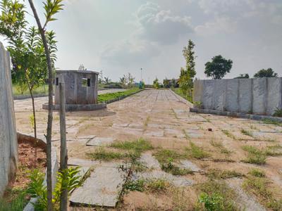 Project Image of 5470.0 - 11900.0 Sq.ft Residential Plot Plot for buy in Graama