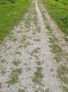 Project Image of 1800 Sq.ft Residential Plot / Land for sale in Joka for Rs. 685000