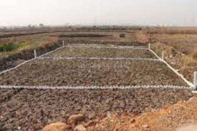 Trivikram Infra Residential Plot In Ranjanpada Mahamumbai Plot 1