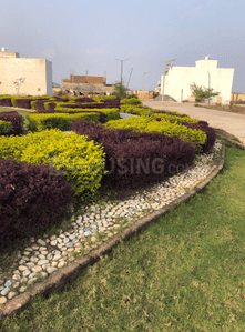 Project Image of 268.77 - 11657.96 Sq.ft 2 BHK Apartment for buy in Wallfort Wood Phase II