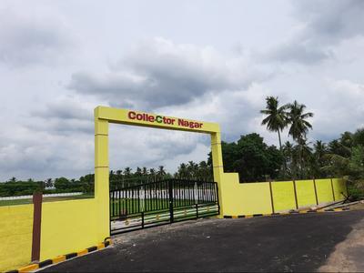 Project Image of 540.0 - 1200.0 Sq.ft Residential Plot Plot for buy in Collector Nagar Phase 1