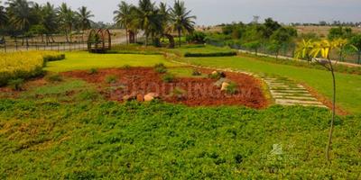 Project Images