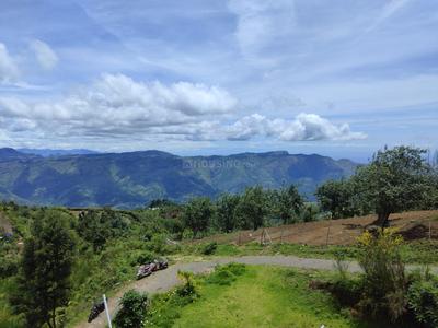 Project Image of 1000.0 - 2079.0 Sq.ft Residential Plot Plot for buy in Shri Anugrahaa Heavenly Haven Plots