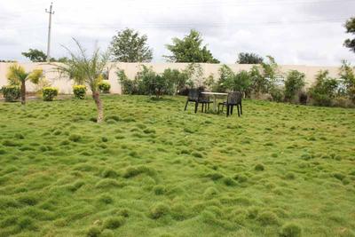 Project Image of 1200.0 - 2400.0 Sq.ft Residential Plot Plot for buy in Millennia Burgundy Orchards