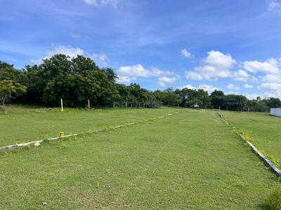 Project Image of 705.0 - 1996.0 Sq.ft Residential Plot Plot for buy in Golden Sri Balaji Nagar